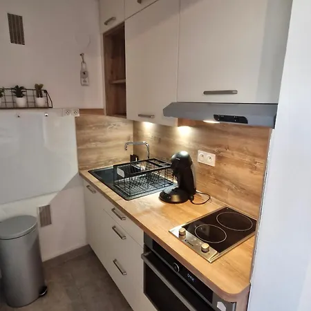 Cosy Au Pied Des Pistes Pour 4 Avec Local A - Fr-1-814-80